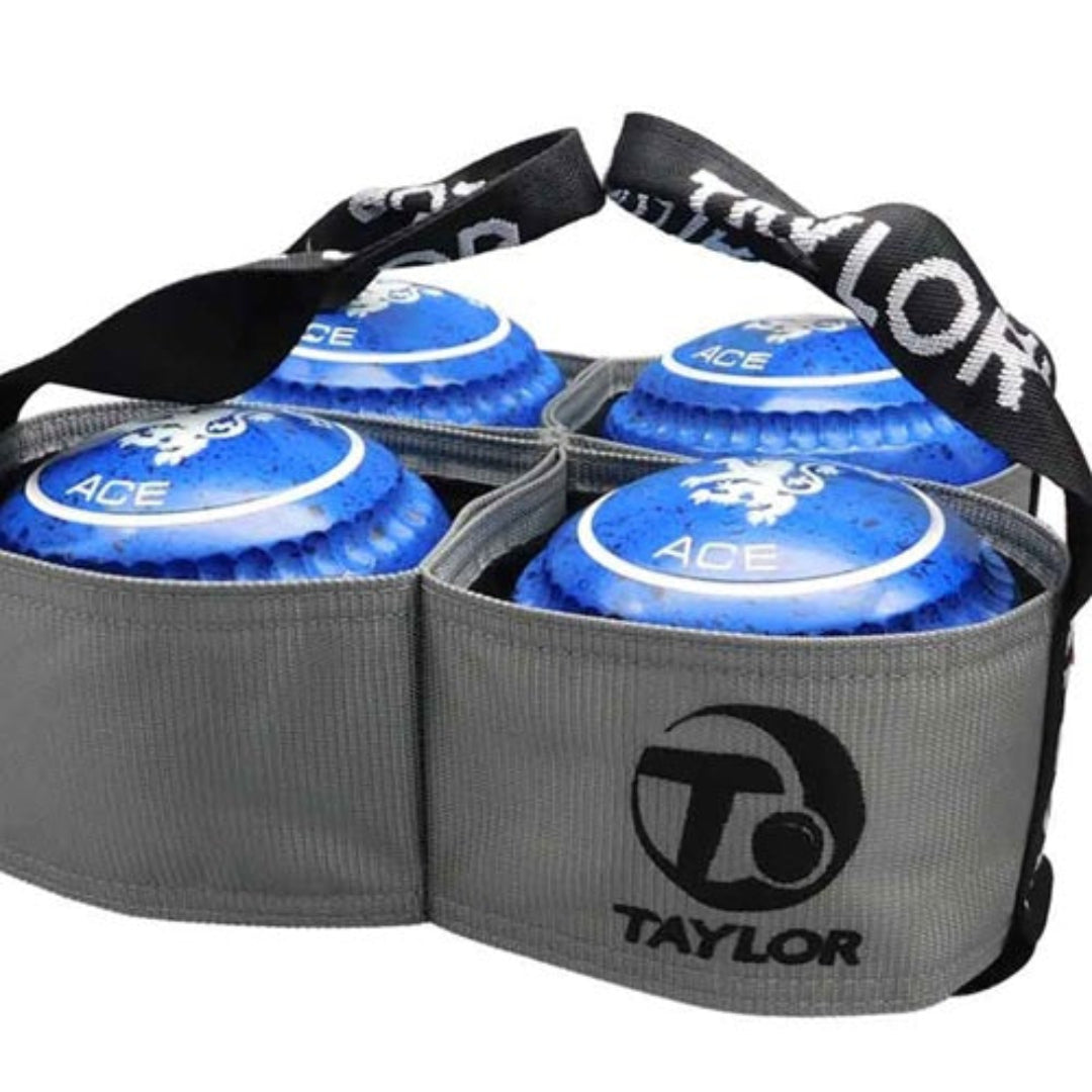 Taylor 4 Bowl Carrier 395